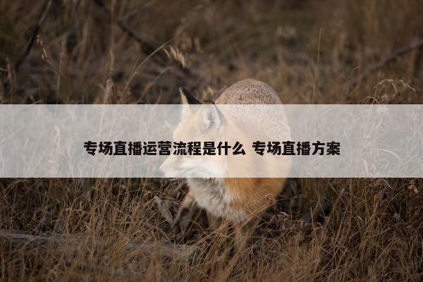 专场直播运营流程是什么 专场直播方案