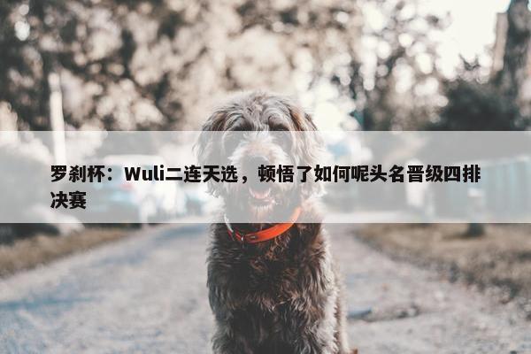 罗刹杯：Wuli二连天选，顿悟了如何呢头名晋级四排决赛