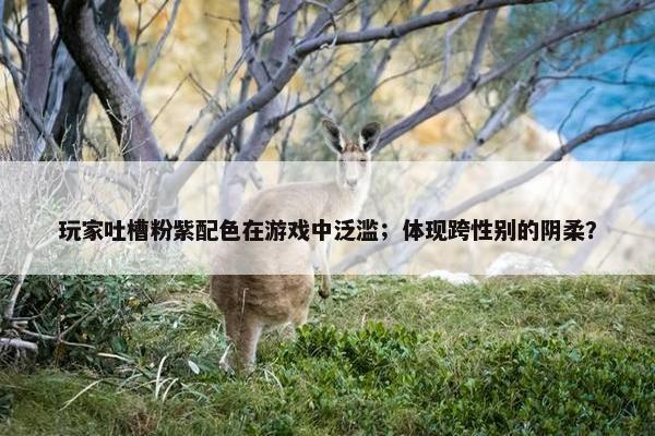 玩家吐槽粉紫配色在游戏中泛滥；体现跨性别的阴柔？