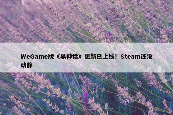 WeGame版《黑神话》更新已上线！Steam还没动静