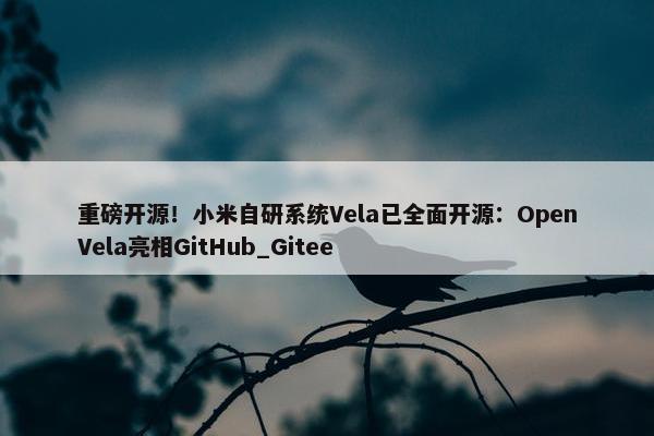 重磅开源！小米自研系统Vela已全面开源：OpenVela亮相GitHub_Gitee