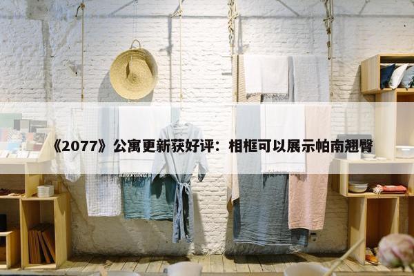 《2077》公寓更新获好评：相框可以展示帕南翘臀