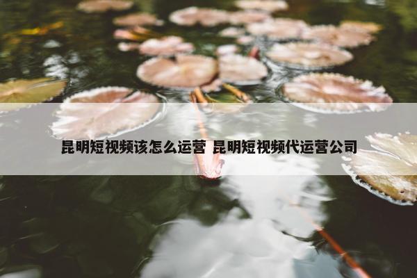 昆明短视频该怎么运营 昆明短视频代运营公司