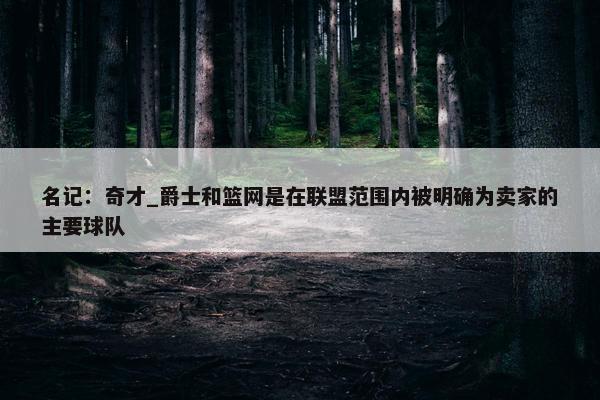 名记：奇才_爵士和篮网是在联盟范围内被明确为卖家的主要球队