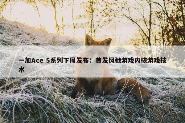 一加Ace 5系列下周发布：首发风驰游戏内核游戏技术