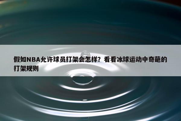 假如NBA允许球员打架会怎样？看看冰球运动中奇葩的打架规则