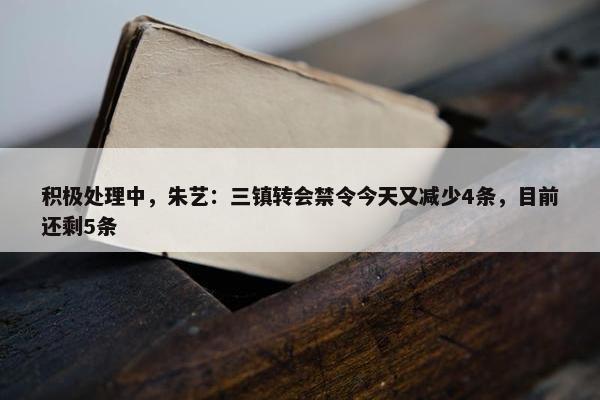 积极处理中，朱艺：三镇转会禁令今天又减少4条，目前还剩5条