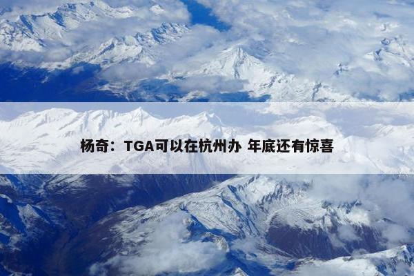 杨奇：TGA可以在杭州办 年底还有惊喜