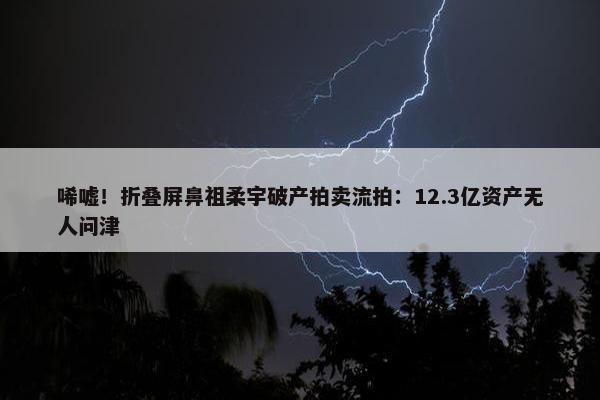 唏嘘！折叠屏鼻祖柔宇破产拍卖流拍：12.3亿资产无人问津