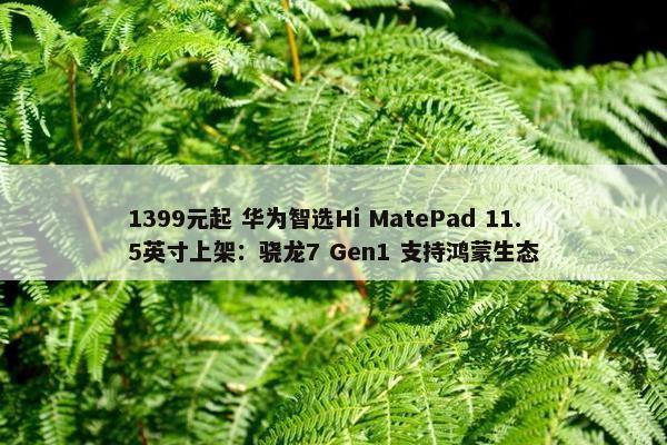 1399元起 华为智选Hi MatePad 11.5英寸上架：骁龙7 Gen1 支持鸿蒙生态