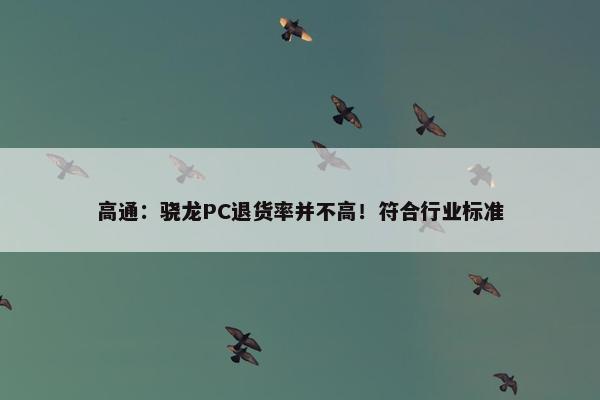 高通：骁龙PC退货率并不高！符合行业标准