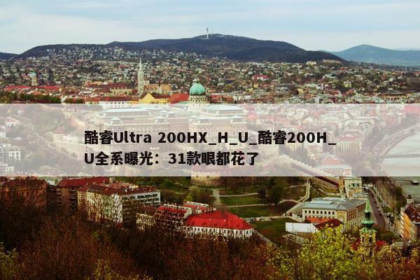 酷睿Ultra 200HX_H_U_酷睿200H_U全系曝光：31款眼都花了