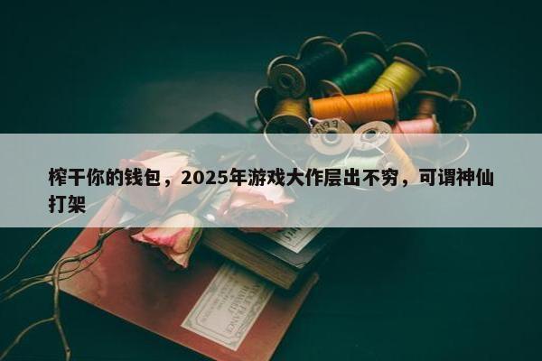 榨干你的钱包，2025年游戏大作层出不穷，可谓神仙打架