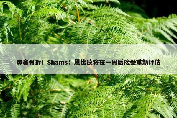 鼻窦骨折！Shams：恩比德将在一周后接受重新评估