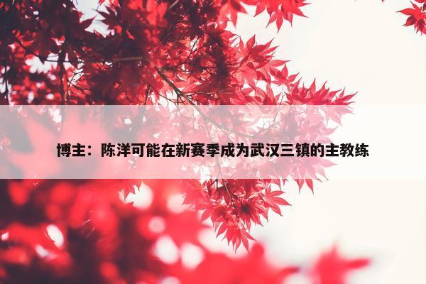 博主：陈洋可能在新赛季成为武汉三镇的主教练