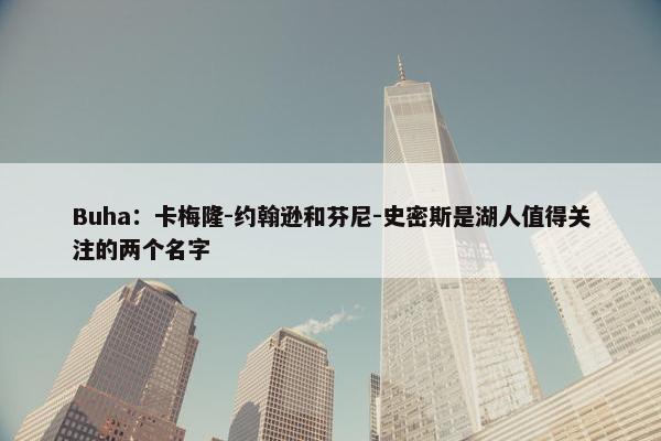 Buha：卡梅隆-约翰逊和芬尼-史密斯是湖人值得关注的两个名字