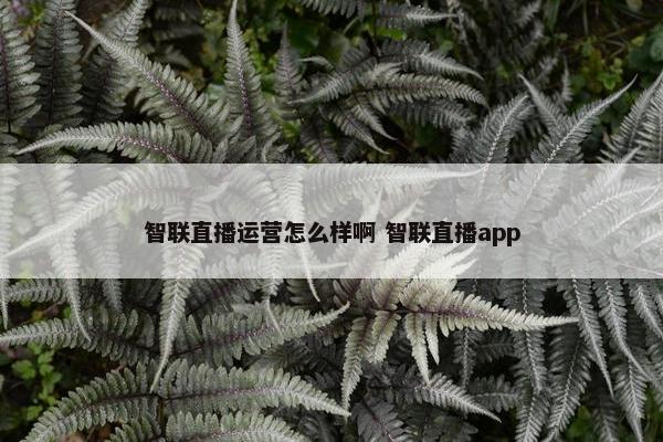 智联直播运营怎么样啊 智联直播app