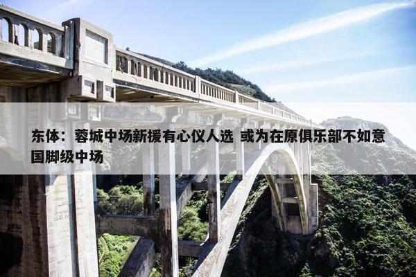 东体：蓉城中场新援有心仪人选 或为在原俱乐部不如意国脚级中场