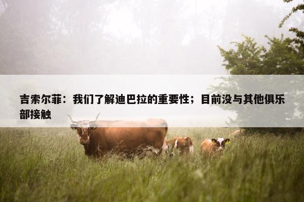 吉索尔菲：我们了解迪巴拉的重要性；目前没与其他俱乐部接触