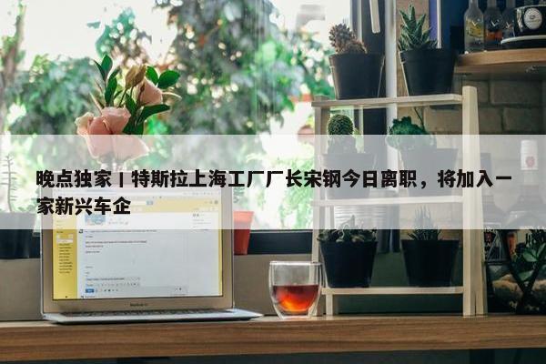 晚点独家丨特斯拉上海工厂厂长宋钢今日离职，将加入一家新兴车企