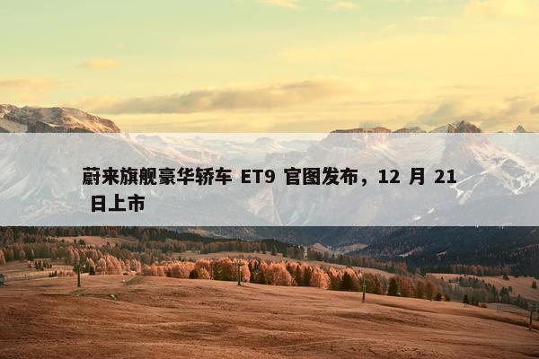 蔚来旗舰豪华轿车 ET9 官图发布，12 月 21 日上市