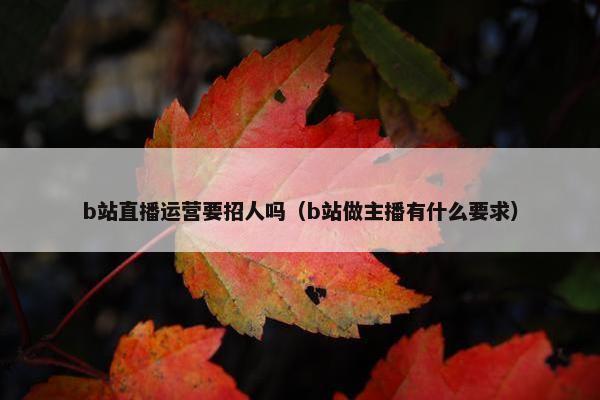 b站直播运营要招人吗（b站做主播有什么要求）