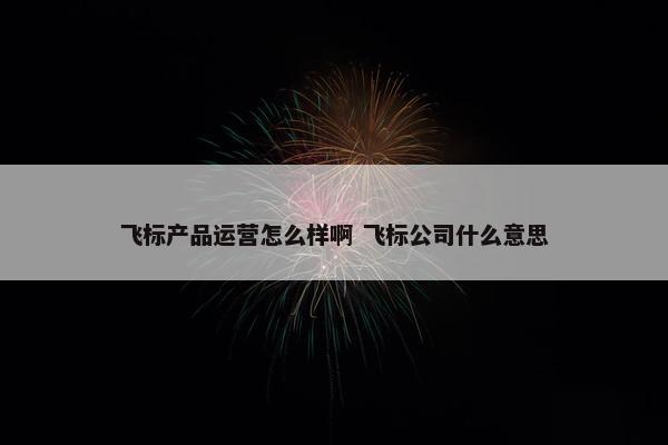 飞标产品运营怎么样啊 飞标公司什么意思