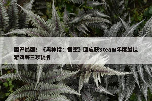 国产最强！《黑神话：悟空》回应获Steam年度最佳游戏等三项提名