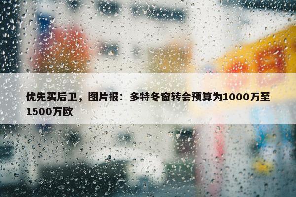 优先买后卫，图片报：多特冬窗转会预算为1000万至1500万欧