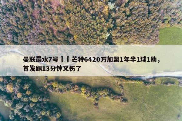 曼联最水7号⁉️芒特6420万加盟1年半1球1助，首发踢13分钟又伤了