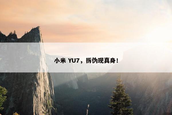 小米 YU7，拆伪现真身！