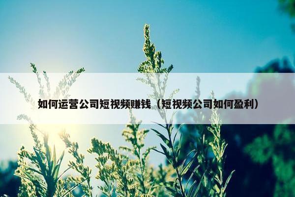 如何运营公司短视频赚钱（短视频公司如何盈利）