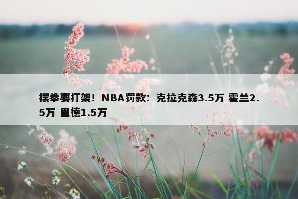 摆拳要打架！NBA罚款：克拉克森3.5万 霍兰2.5万 里德1.5万