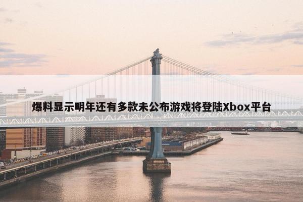 爆料显示明年还有多款未公布游戏将登陆Xbox平台