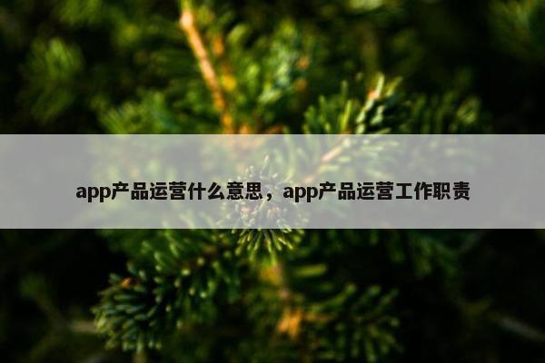 app产品运营什么意思，app产品运营工作职责