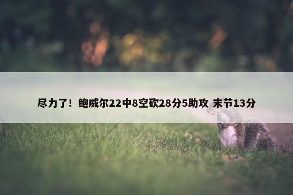 尽力了！鲍威尔22中8空砍28分5助攻 末节13分