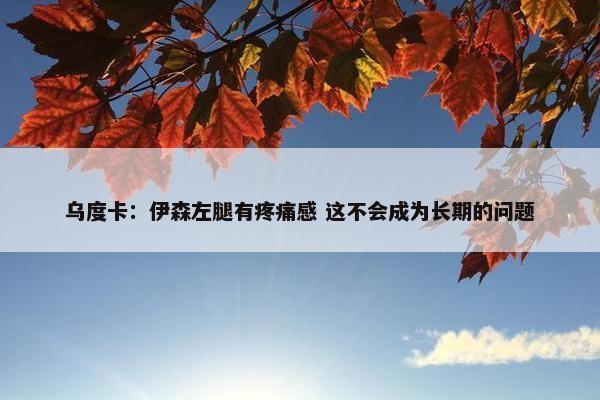 乌度卡：伊森左腿有疼痛感 这不会成为长期的问题