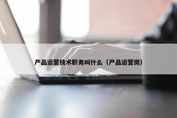 产品运营技术职务叫什么（产品运营岗）