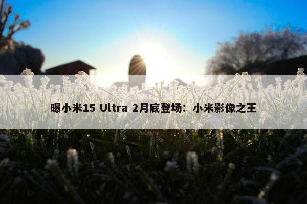 曝小米15 Ultra 2月底登场：小米影像之王