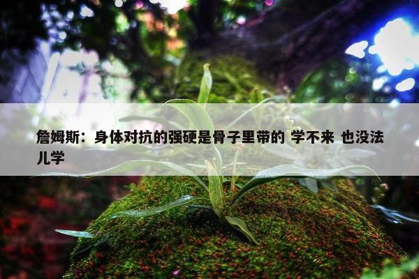 詹姆斯：身体对抗的强硬是骨子里带的 学不来 也没法儿学