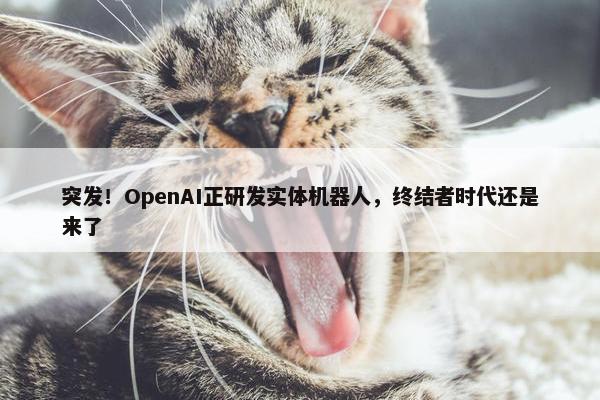 突发！OpenAI正研发实体机器人，终结者时代还是来了