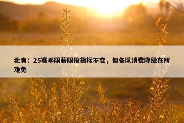 北青：25赛季限薪限投指标不变，但各队消费降级在所难免