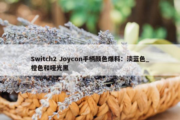 Switch2 Joycon手柄颜色爆料：淡蓝色_橙色和哑光黑