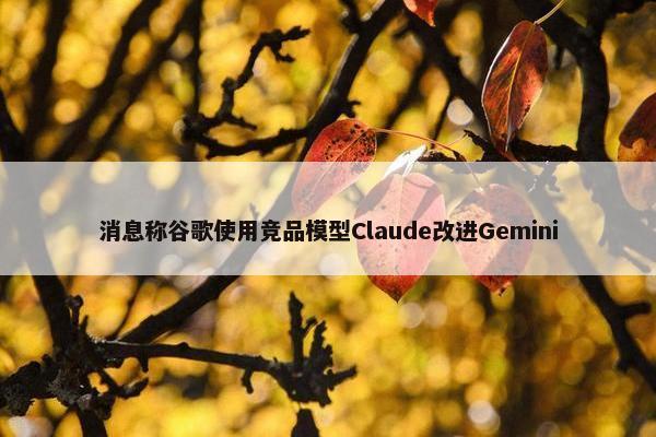 消息称谷歌使用竞品模型Claude改进Gemini