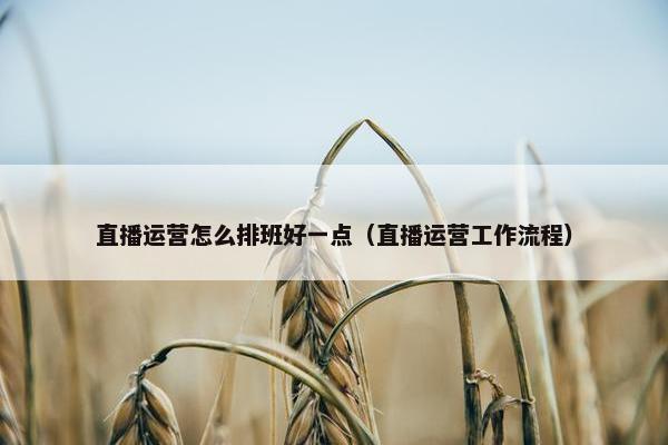 直播运营怎么排班好一点（直播运营工作流程）