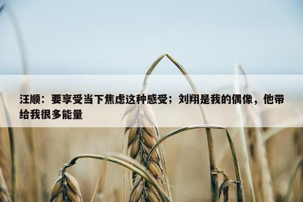 汪顺：要享受当下焦虑这种感受；刘翔是我的偶像，他带给我很多能量