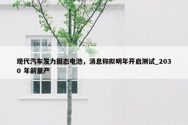 现代汽车发力固态电池，消息称拟明年开启测试_2030 年前量产