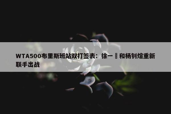 WTA500布里斯班站双打签表：徐一璠和杨钊煊重新联手出战