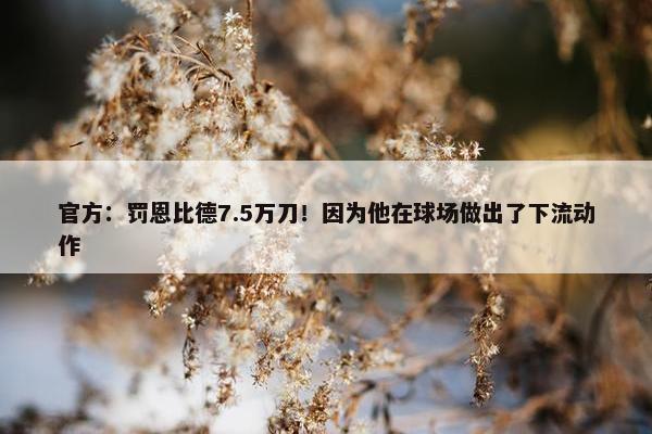 官方：罚恩比德7.5万刀！因为他在球场做出了下流动作