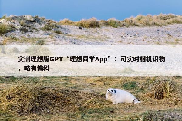 实测理想版GPT“理想同学App”：可实时相机识物，略有偏科